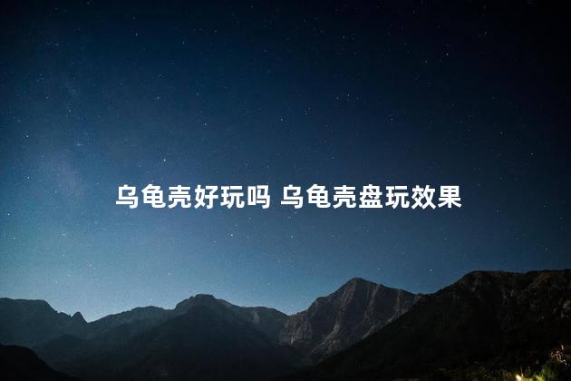 乌龟壳好玩吗 乌龟壳盘玩效果